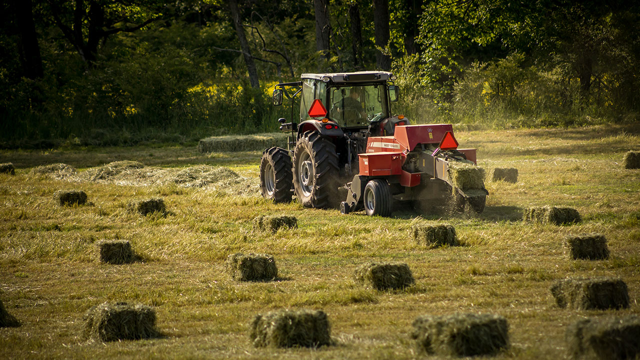 Massey Ferguson 1840 small square baler producing uniform hay bales in the field with reliability and precision.