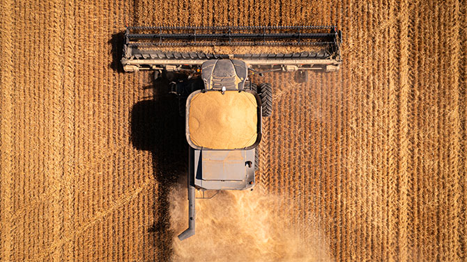 Top view of Gleaner T Series combine harvesting wheat, grain tank full, showcasing AGCO harvesting efficiency and performance.