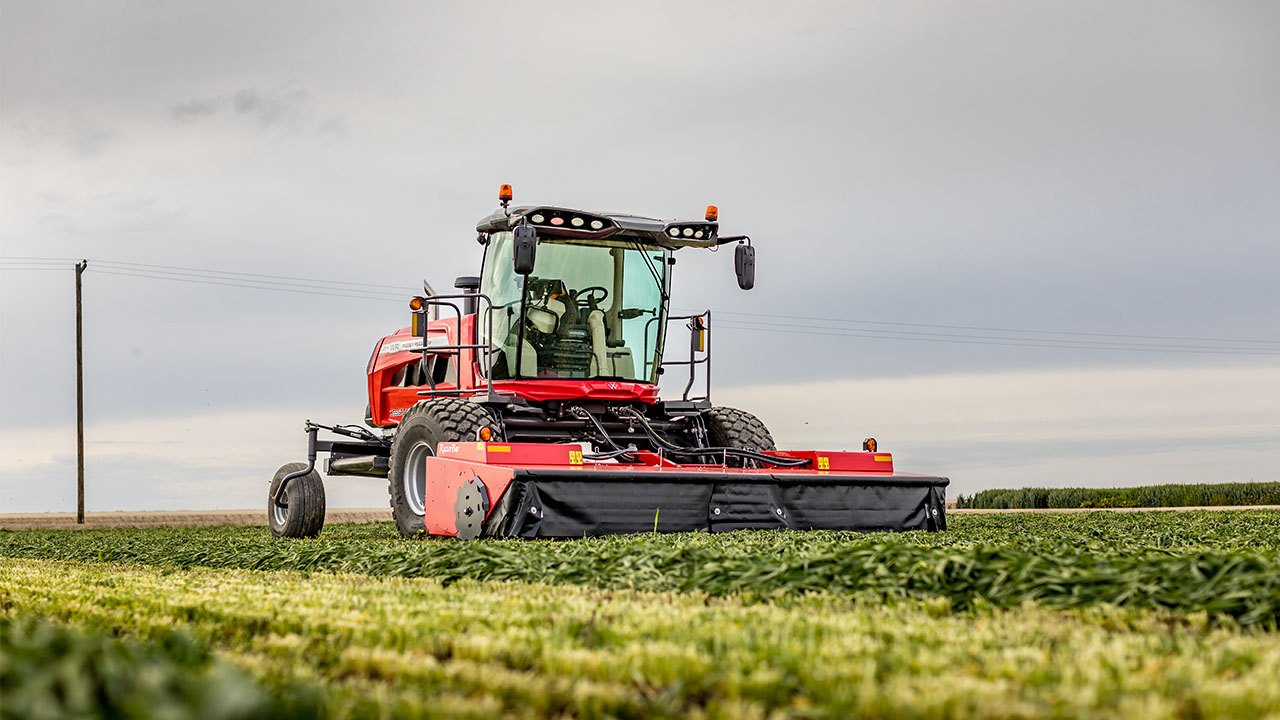 Hesston by Massey Ferguson self-propelled windrower cutting green forage in open field, built for high-speed mowing and precise crop handling.