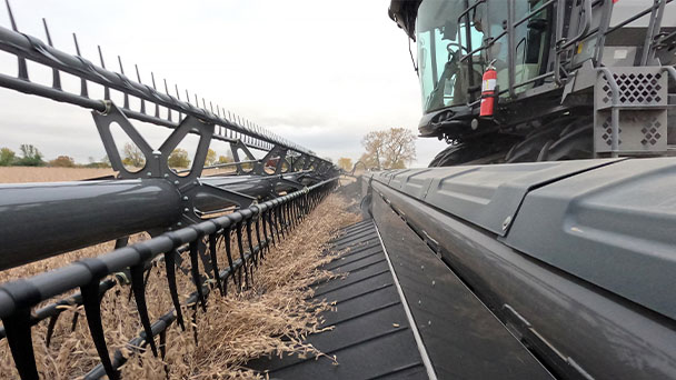 Close-up of Gleaner 9300 Series head efficiently feeding soybeans into the combine during harvest.