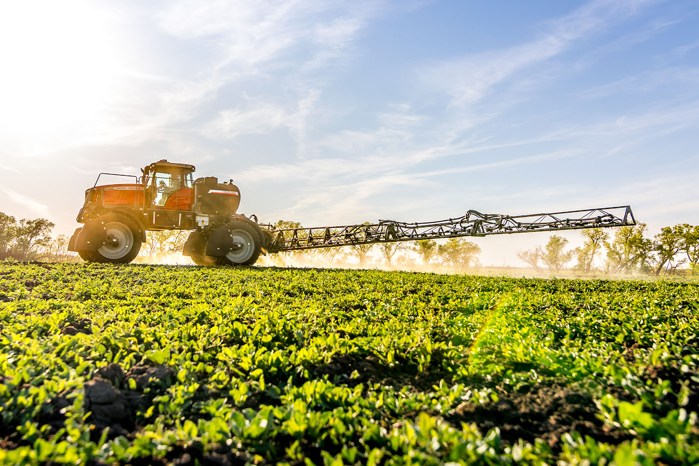 Massey Ferguson 500R sprayer operating in a lush field at sunrise, showcasing precision ag technology and wide boom reach.