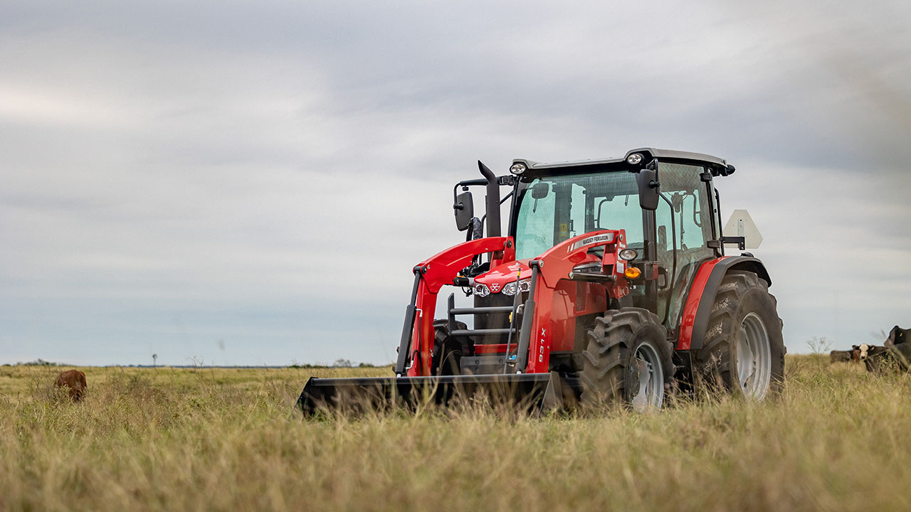 Massey Ferguson 4700 Series tractor in a cattle pasture, ideal for livestock chores and heavy-duty farm work.