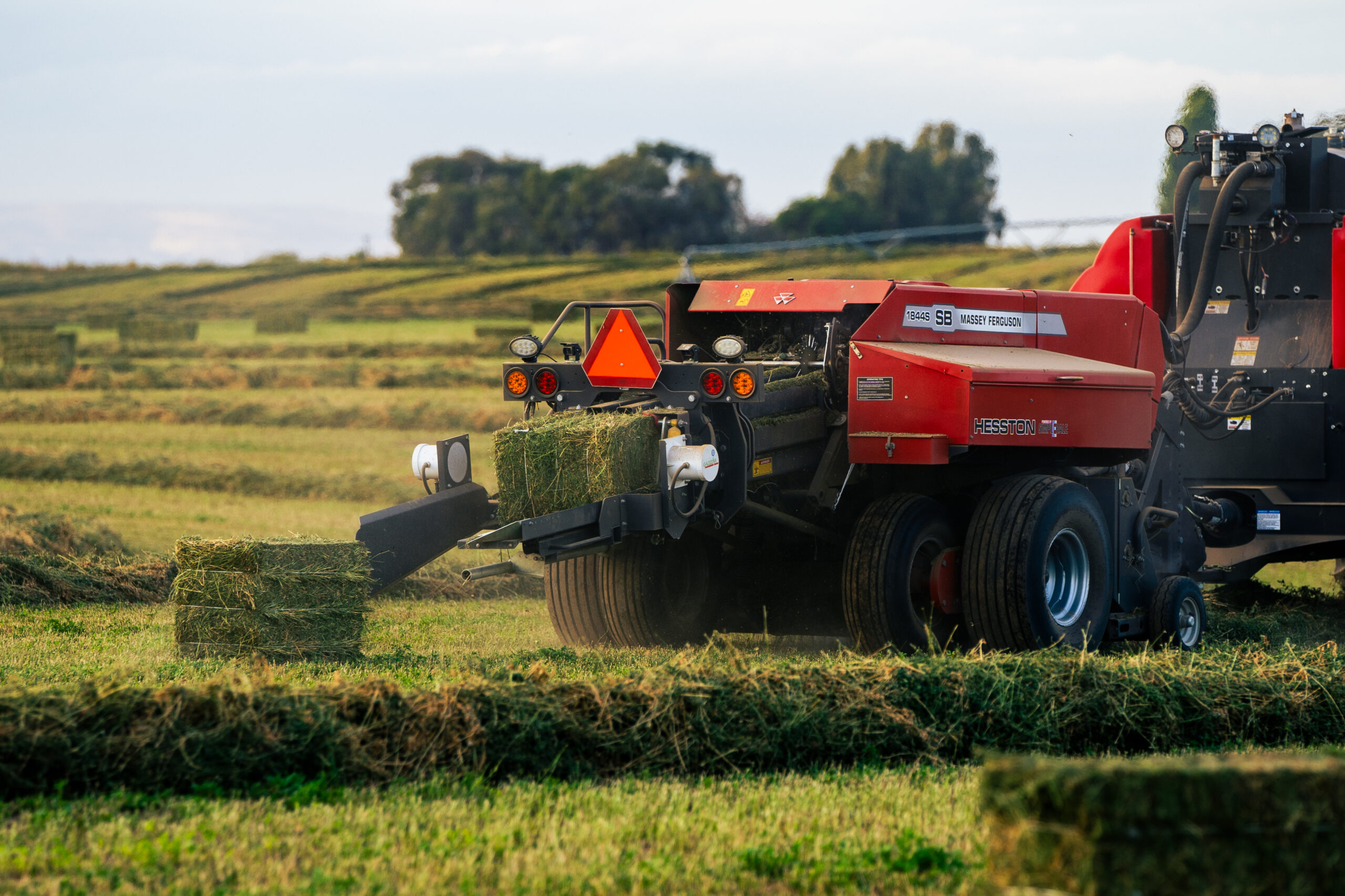 Massey Ferguson 1800 Series Small Square Baler in hay field.