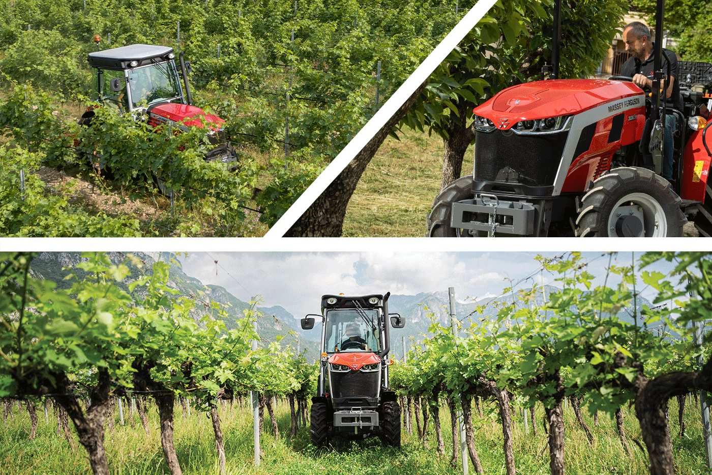 Massey Ferguson 3 Series tractors working in vineyards, designed for narrow rows and specialty crop operations.