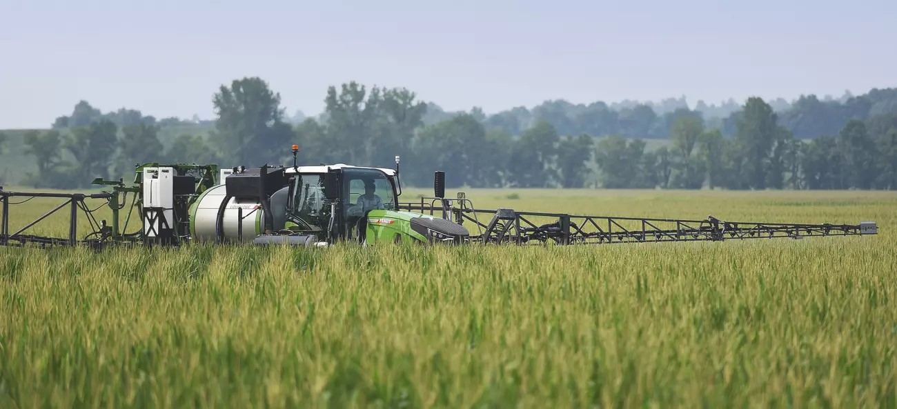 Fendt Rogator 900 sprayer applying crop protection in tall grain field, precision AGCO equipment for efficient field coverage.
