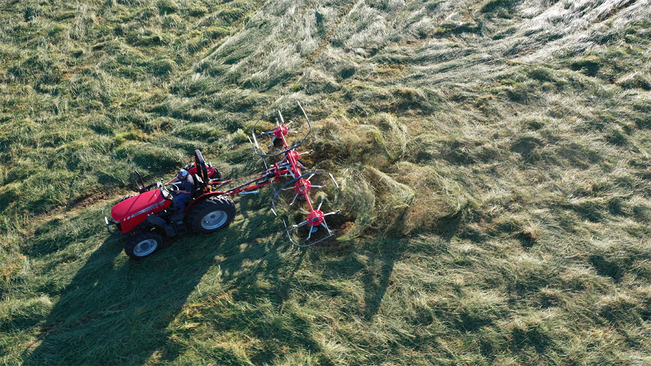 Massey Ferguson tractor using MF TD Series Tedder in field, spreading hay evenly to speed drying and improve forage quality.