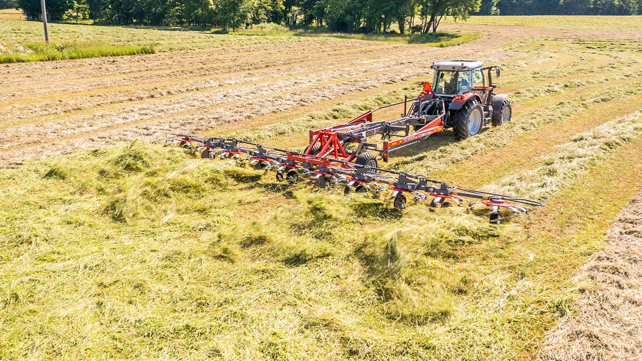 Massey Ferguson tractor operating MF TDX Series Tedder in hayfield, spreading cut crop for faster, even drying and forage quality.