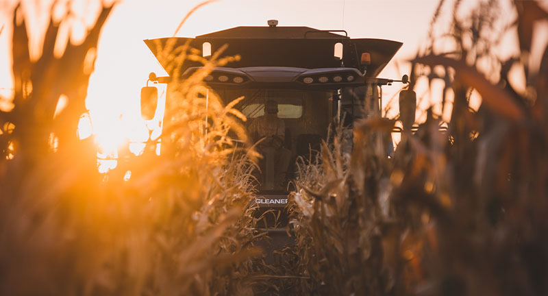 Gleaner 3300 Command Series at sunset in a cornfield, delivering powerful AGCO harvesting performance and field efficiency.