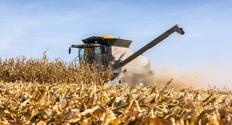 Gleaner 3300 Command Series combine harvesting corn, showcasing AGCO’s precision and high-capacity grain handling.