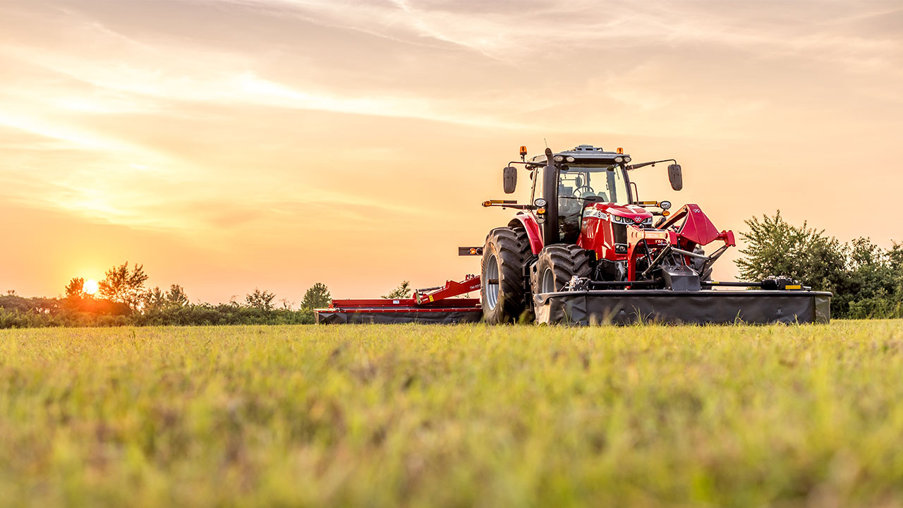 Massey Ferguson tractor with MF DM Series Triple Mower cutting grass at sunset, built for high-efficiency, wide-area mowing.