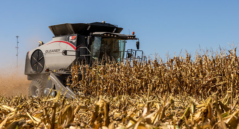 Gleaner 3300 Command Series cutting through cornfield, showcasing AGCO harvesting power and precision in the field.