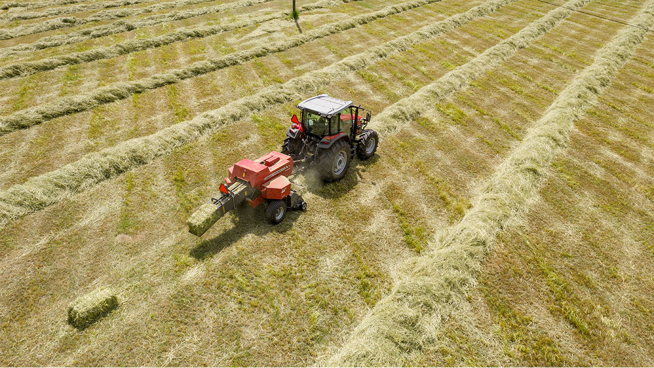 Massey Ferguson 1800 Series small square baler working in windrows, producing uniform hay bales in an open field.