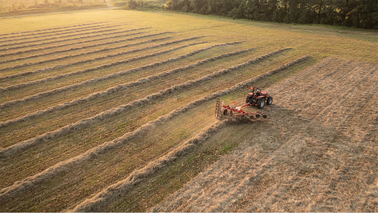Aerial view of Massey Ferguson tractor operating MF RK V Series Wheel Rake in hayfield, delivering high-capacity raking and clean windrows.