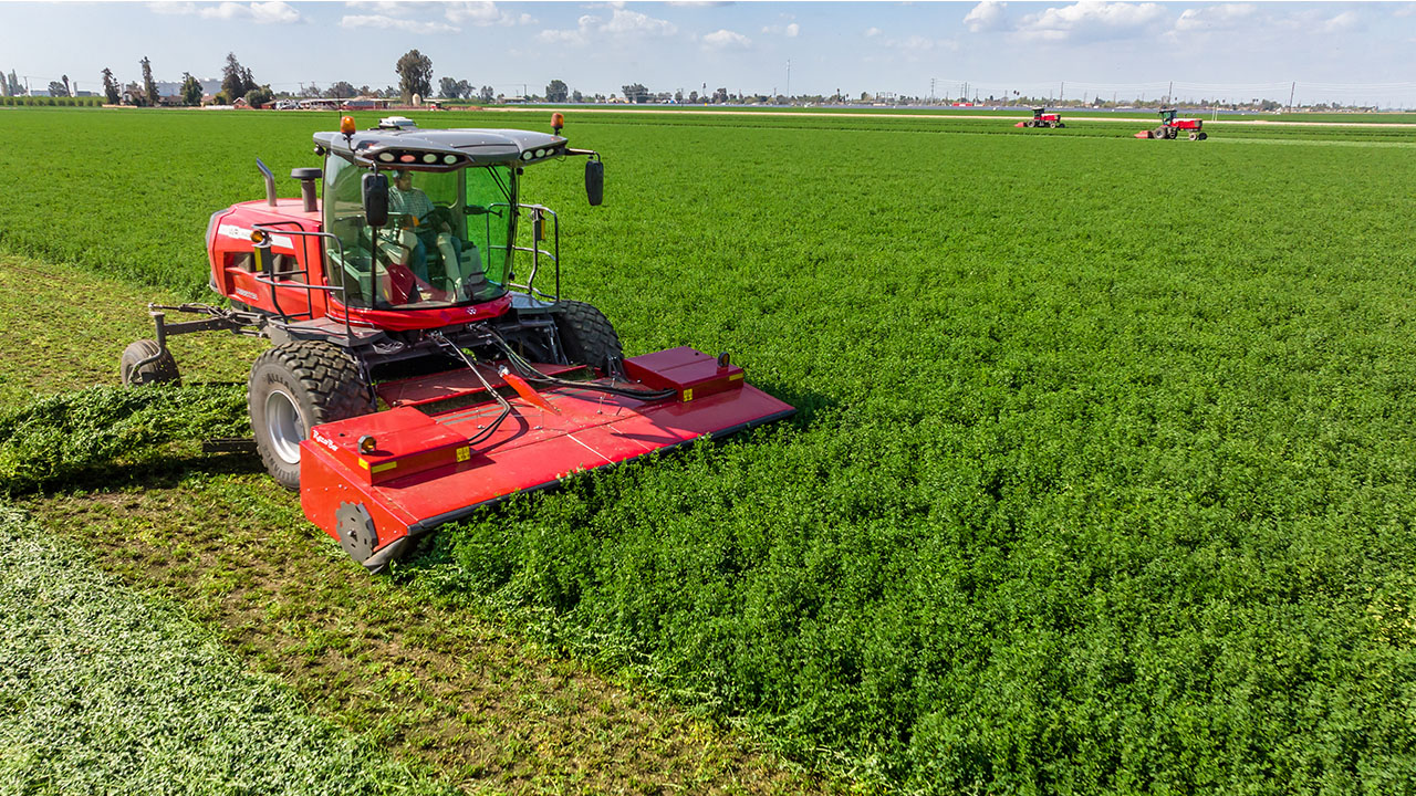 Hesston by Massey Ferguson self-propelled windrower cutting lush green alfalfa, built for high-speed harvesting.