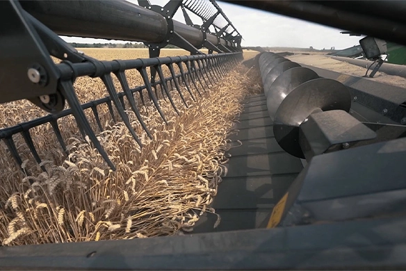 High-capacity Geringhoff draper header with advanced cutting technology, providing clean, fast grain intake.